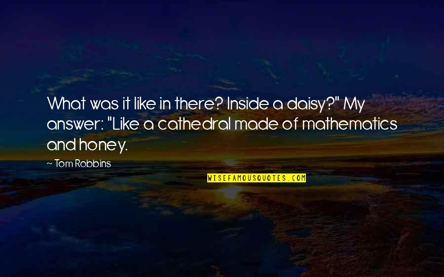 Ragnarok Netflix Quotes By Tom Robbins: What was it like in there? Inside a Ragnarok Netflix Quotes By Tom Robbins: What was it like in there? Inside a