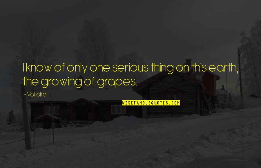 Ragpicker Disease Quotes By Voltaire: I know of only one serious thing on