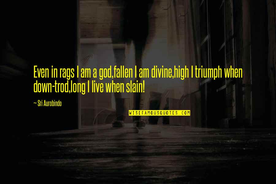 Rags Best Quotes By Sri Aurobindo: Even in rags I am a god,fallen I Rags Best Quotes By Sri Aurobindo: Even in rags I am a god,fallen I