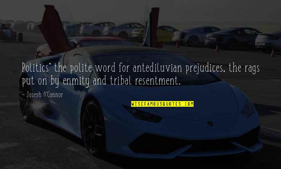 Rags Quotes By Joseph O'Connor: Politics' the polite word for antediluvian prejudices, the Rags Quotes By Joseph O'Connor: Politics' the polite word for antediluvian prejudices, the