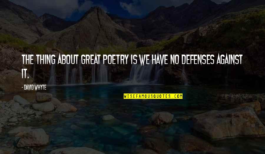 Rahalaakso Quotes By David Whyte: The thing about great poetry is we have
