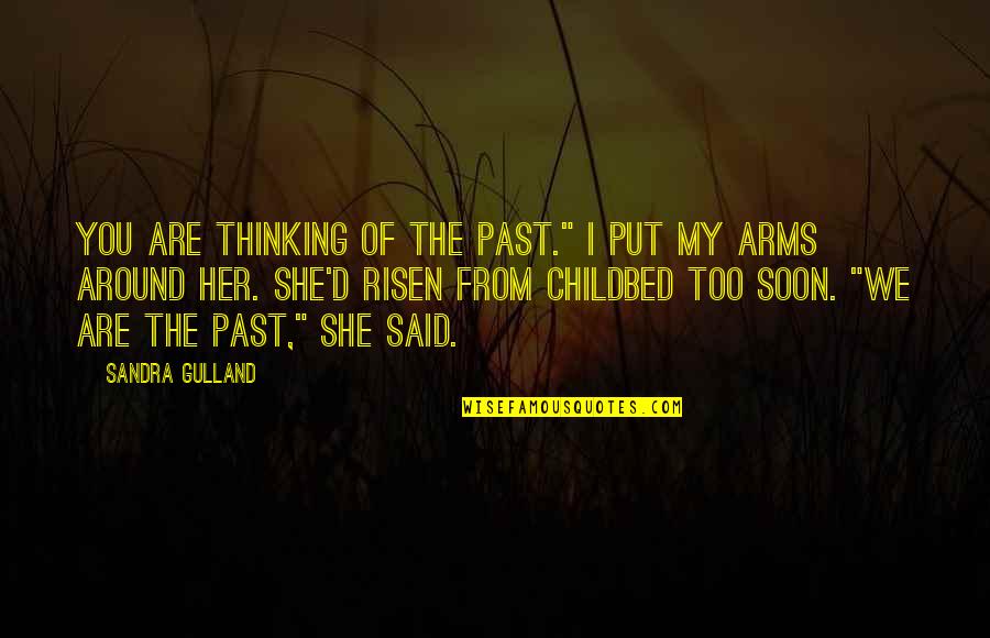 Rahallah Quotes By Sandra Gulland: You are thinking of the past." I put Rahallah Quotes By Sandra Gulland: You are thinking of the past." I put