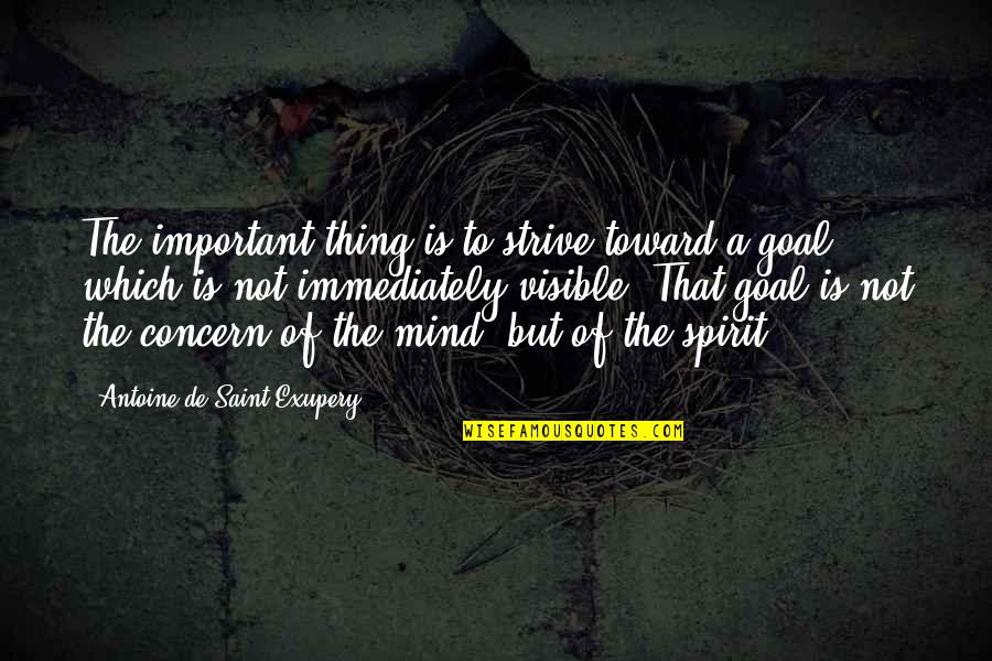 Rahimia Quotes By Antoine De Saint-Exupery: The important thing is to strive toward a