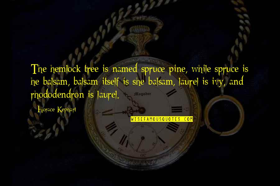 Rahmatullah Pashtoon Quotes By Horace Kephart: The hemlock tree is named spruce-pine, while spruce