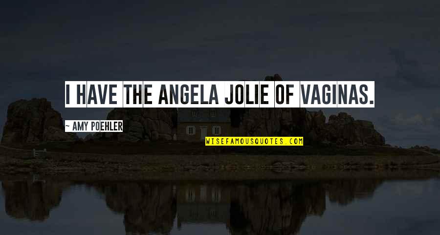 Rahmet Rozaje Quotes By Amy Poehler: I have the Angela Jolie of vaginas. Rahmet Rozaje Quotes By Amy Poehler: I have the Angela Jolie of vaginas.
