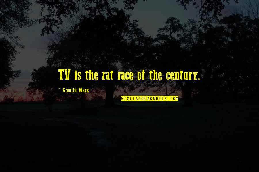 Rahoumi Quotes By Groucho Marx: TV is the rat race of the century. Rahoumi Quotes By Groucho Marx: TV is the rat race of the century.