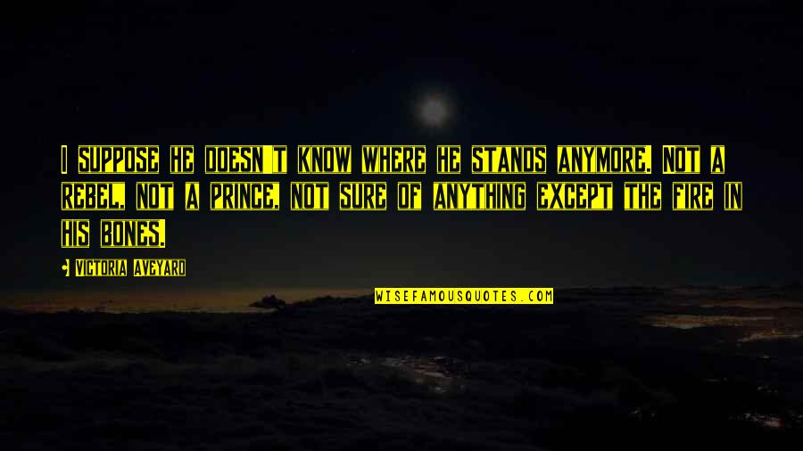Rahul Singh Love Quotes By Victoria Aveyard: I suppose he doesn't know where he stands