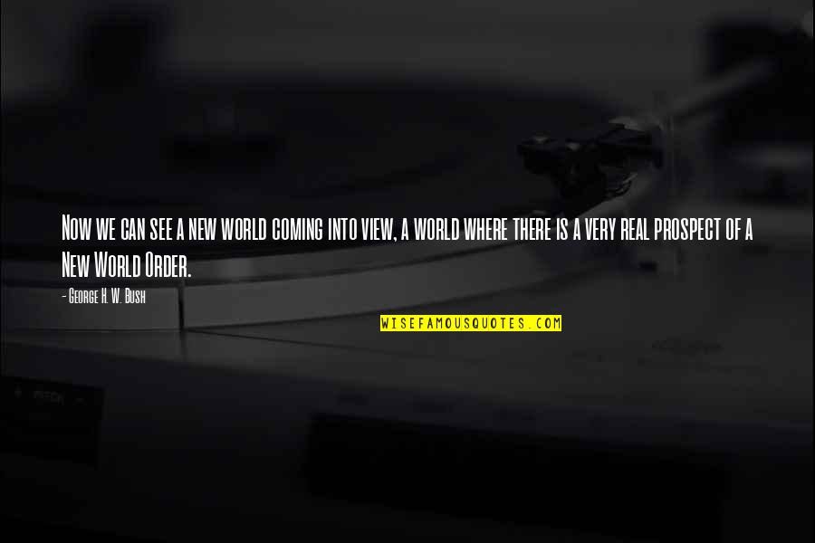 Raibong Quotes By George H. W. Bush: Now we can see a new world coming