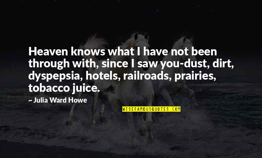 Railroads Quotes By Julia Ward Howe: Heaven knows what I have not been through