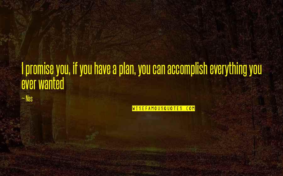 Raimann Quotes By Nas: I promise you, if you have a plan,