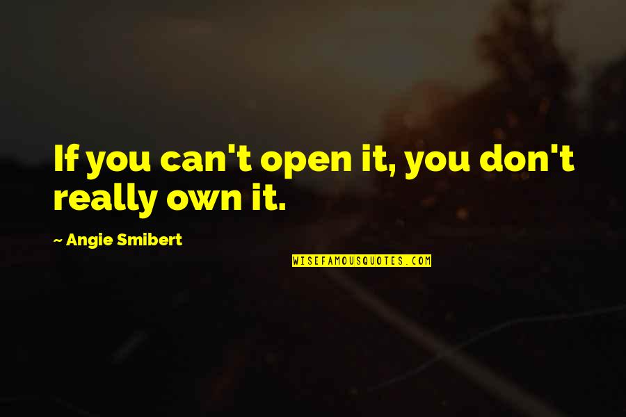 Raiment Pronunciation Quotes By Angie Smibert: If you can't open it, you don't really