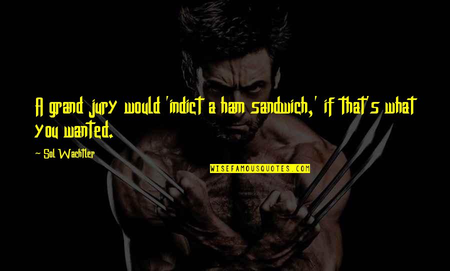 Rain Adventure Quotes By Sol Wachtler: A grand jury would 'indict a ham sandwich,'