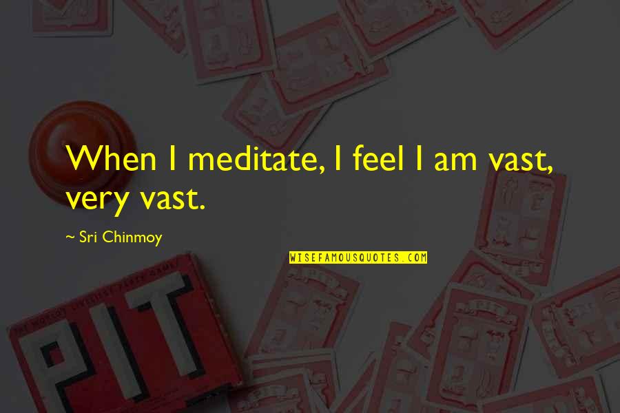 Rain And New Beginnings Quotes By Sri Chinmoy: When I meditate, I feel I am vast,