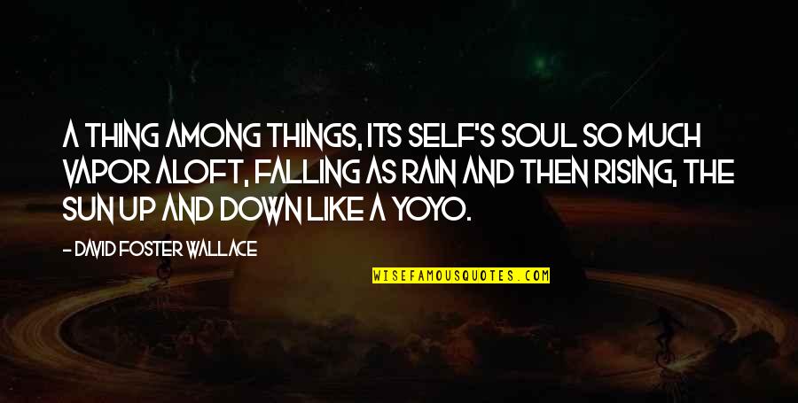 Rain And The Sun Quotes By David Foster Wallace: A thing among things, its self's soul so
