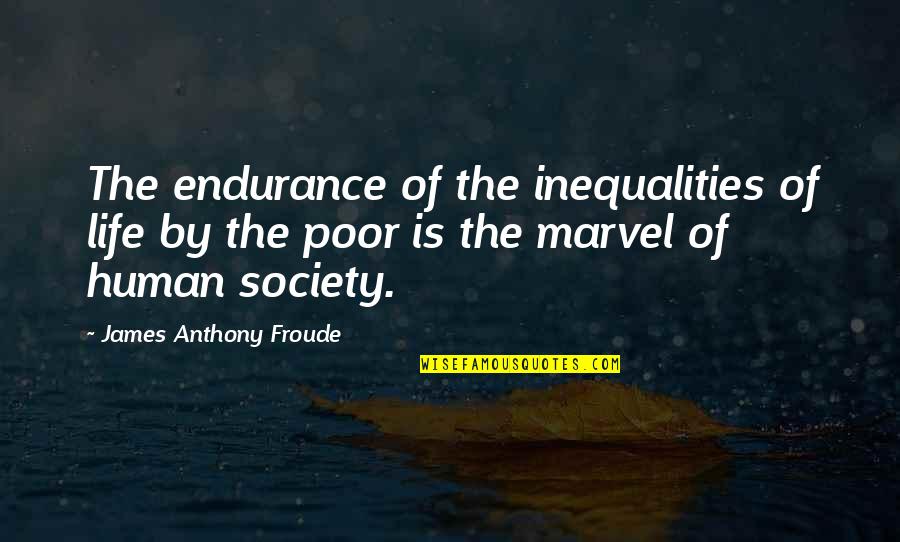 Rain And Thunder Quotes By James Anthony Froude: The endurance of the inequalities of life by Rain And Thunder Quotes By James Anthony Froude: The endurance of the inequalities of life by