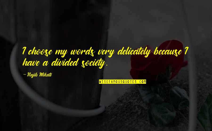Rain Brings Sadness Quotes By Najib Mikati: I choose my words very delicately because I