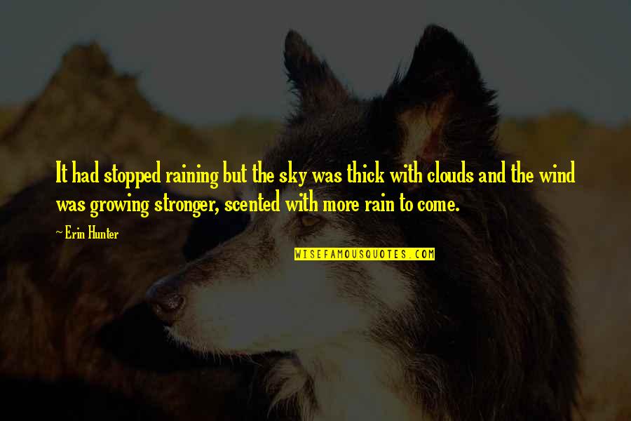 Rain Clouds Quotes By Erin Hunter: It had stopped raining but the sky was