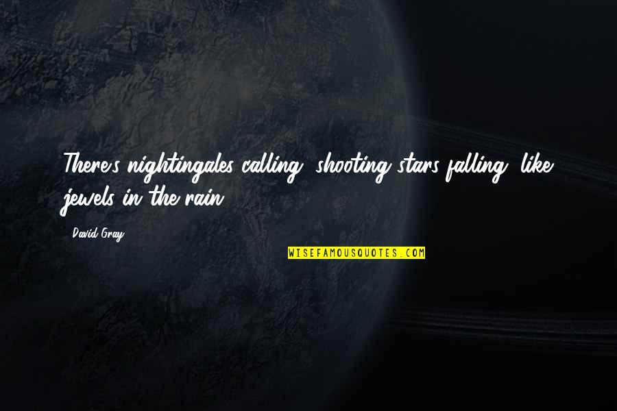 Rain Falling Quotes By David Gray: There's nightingales calling, shooting stars falling, like jewels