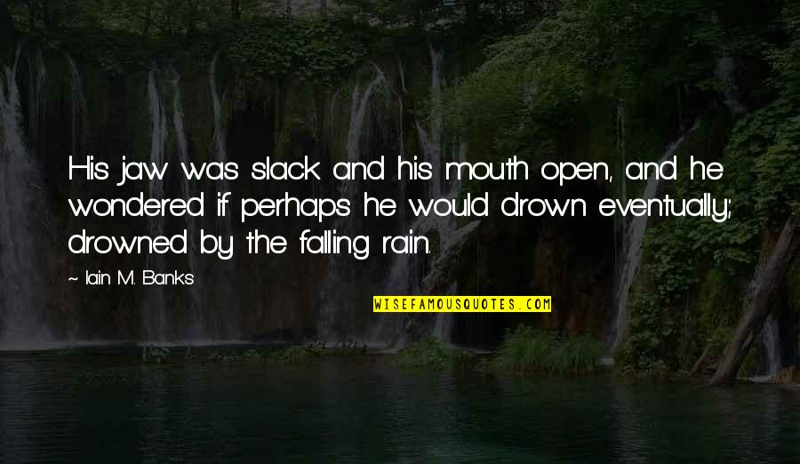 Rain Falling Quotes By Iain M. Banks: His jaw was slack and his mouth open, Rain Falling Quotes By Iain M. Banks: His jaw was slack and his mouth open,