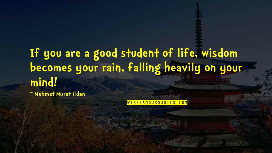 Rain Falling Quotes By Mehmet Murat Ildan: If you are a good student of life, Rain Falling Quotes By Mehmet Murat Ildan: If you are a good student of life,
