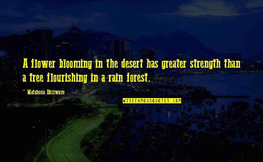 Rain Flower Quotes By Matshona Dhliwayo: A flower blooming in the desert has greater