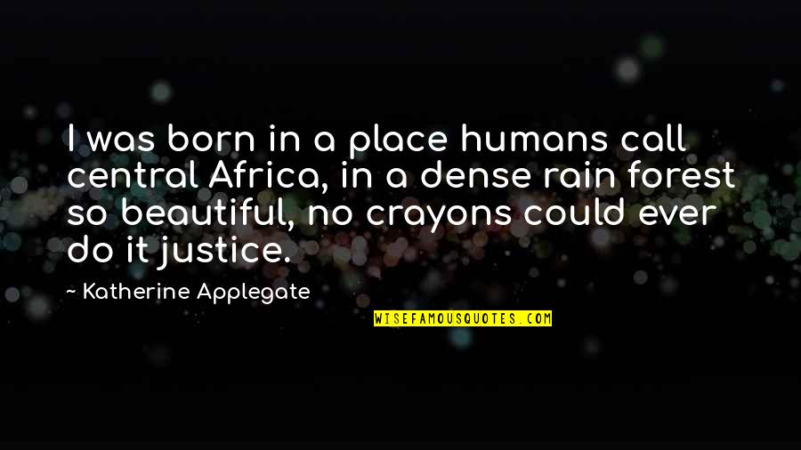 Rain Forest Quotes By Katherine Applegate: I was born in a place humans call Rain Forest Quotes By Katherine Applegate: I was born in a place humans call
