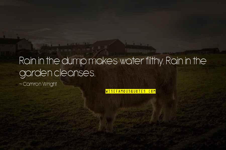 Rain Garden Quotes By Camron Wright: Rain in the dump makes water filthy. Rain