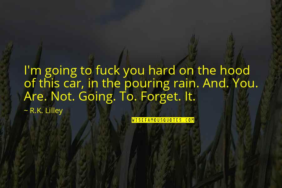Rain Hard Quotes By R.K. Lilley: I'm going to fuck you hard on the