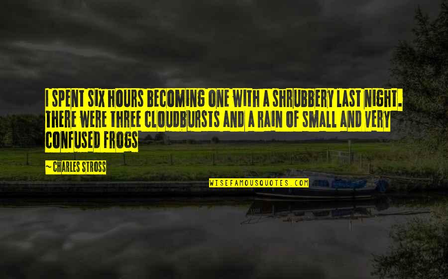 Rain In The Night Quotes By Charles Stross: I spent six hours becoming one with a
