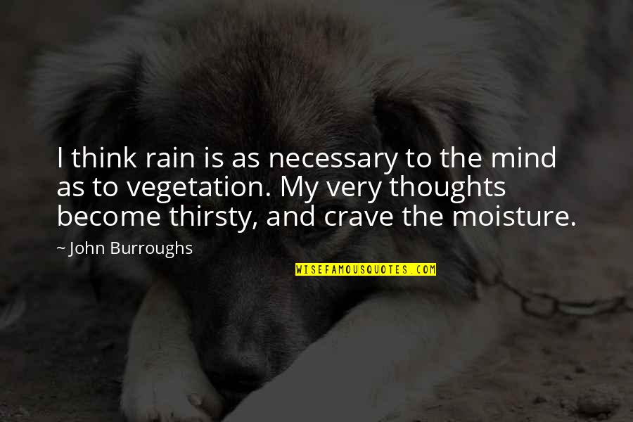Rain Moisture Quotes By John Burroughs: I think rain is as necessary to the