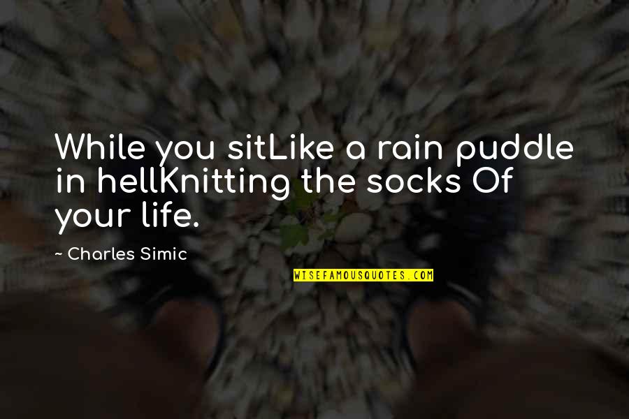 Rain Puddle Quotes By Charles Simic: While you sitLike a rain puddle in hellKnitting