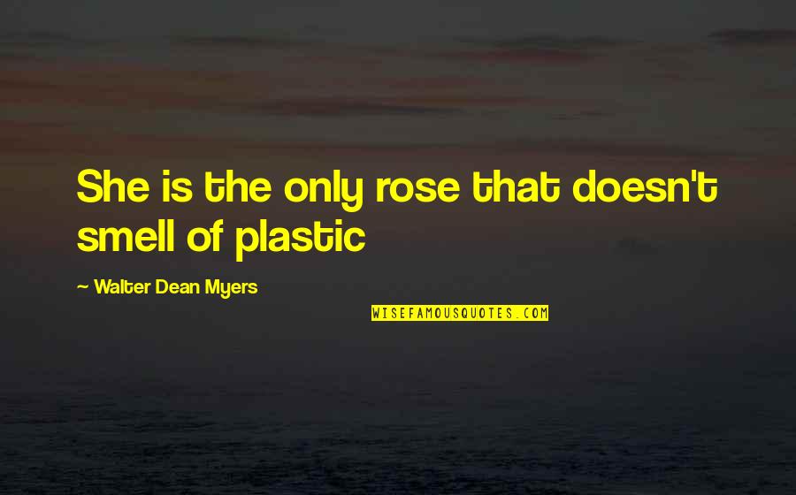 Rain Puddles Quotes By Walter Dean Myers: She is the only rose that doesn't smell