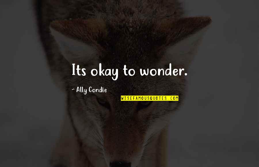 Rain Sad Love Quotes By Ally Condie: Its okay to wonder.