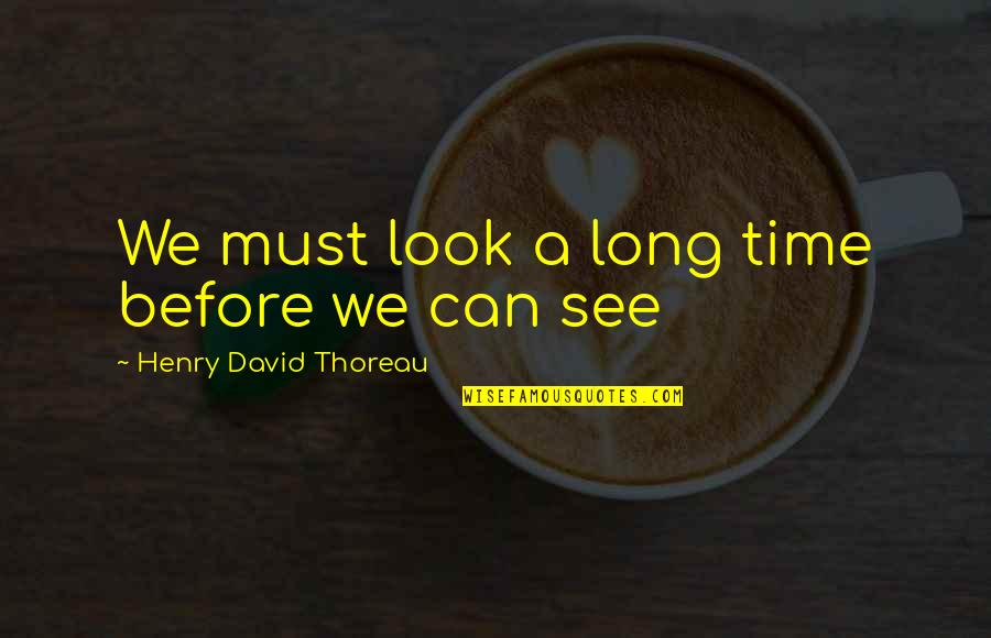 Rain Spout Accessories Quotes By Henry David Thoreau: We must look a long time before we Rain Spout Accessories Quotes By Henry David Thoreau: We must look a long time before we