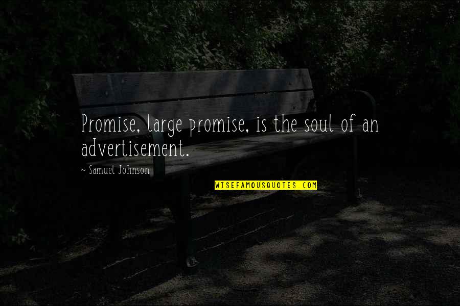 Rain Spouts Home Quotes By Samuel Johnson: Promise, large promise, is the soul of an Rain Spouts Home Quotes By Samuel Johnson: Promise, large promise, is the soul of an