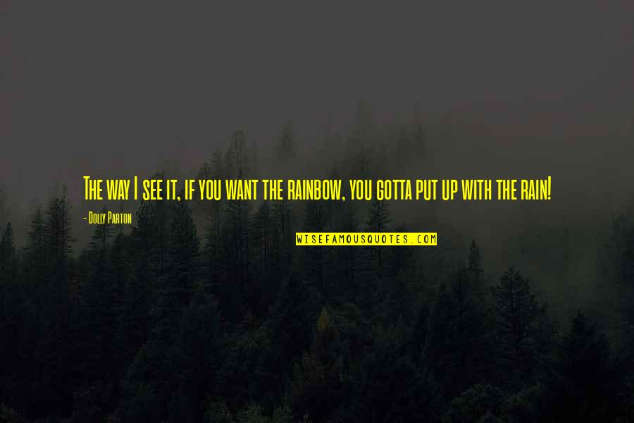 Rain To Rainbow Quotes By Dolly Parton: The way I see it, if you want