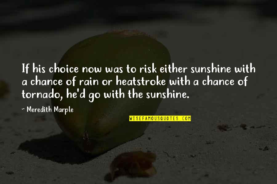 Rain To Sunshine Quotes By Meredith Marple: If his choice now was to risk either