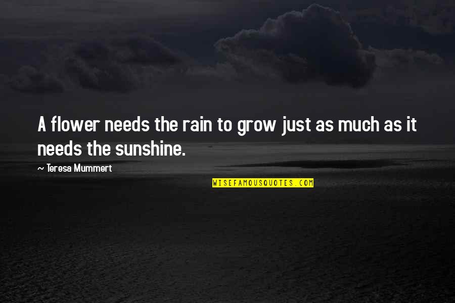 Rain To Sunshine Quotes By Teresa Mummert: A flower needs the rain to grow just