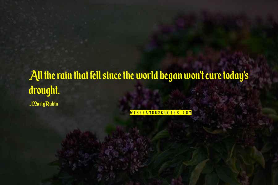 Rain Today Quotes By Marty Rubin: All the rain that fell since the world