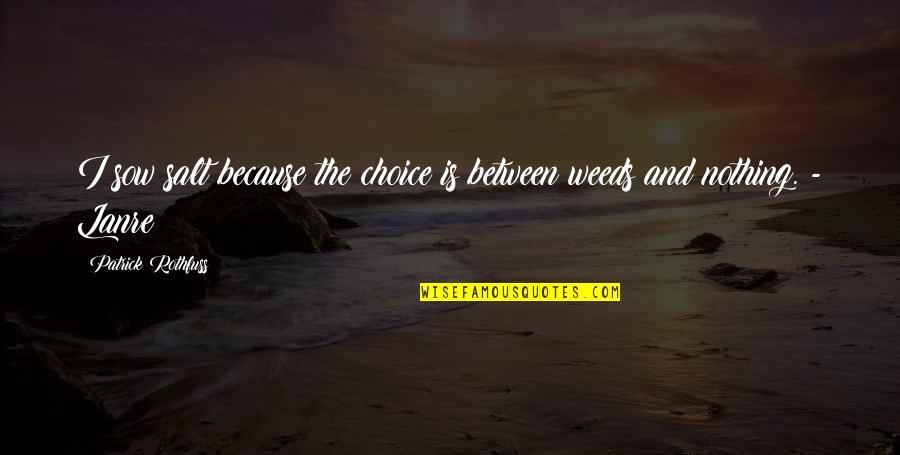Rained Cats Quotes By Patrick Rothfuss: I sow salt because the choice is between