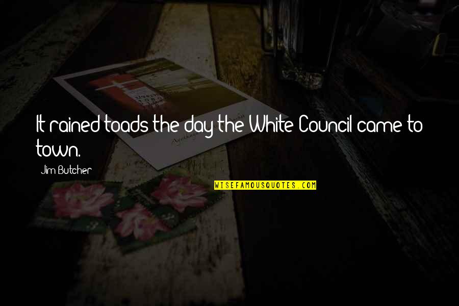 Rained Out Quotes By Jim Butcher: It rained toads the day the White Council