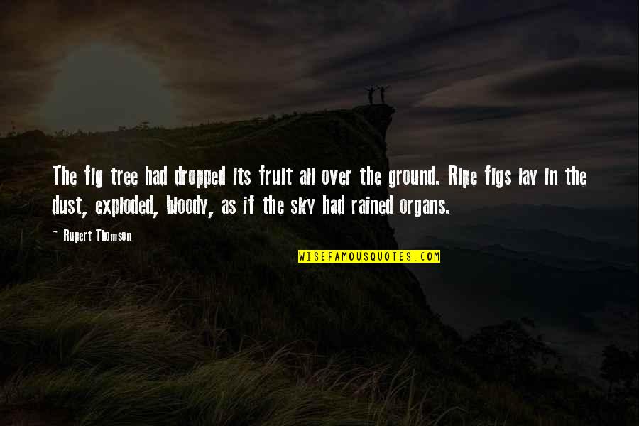 Rained Out Quotes By Rupert Thomson: The fig tree had dropped its fruit all