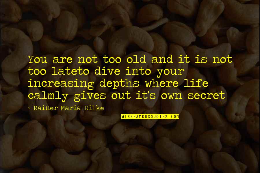 Rainer Maria Rilke Quotes By Rainer Maria Rilke: You are not too old and it is