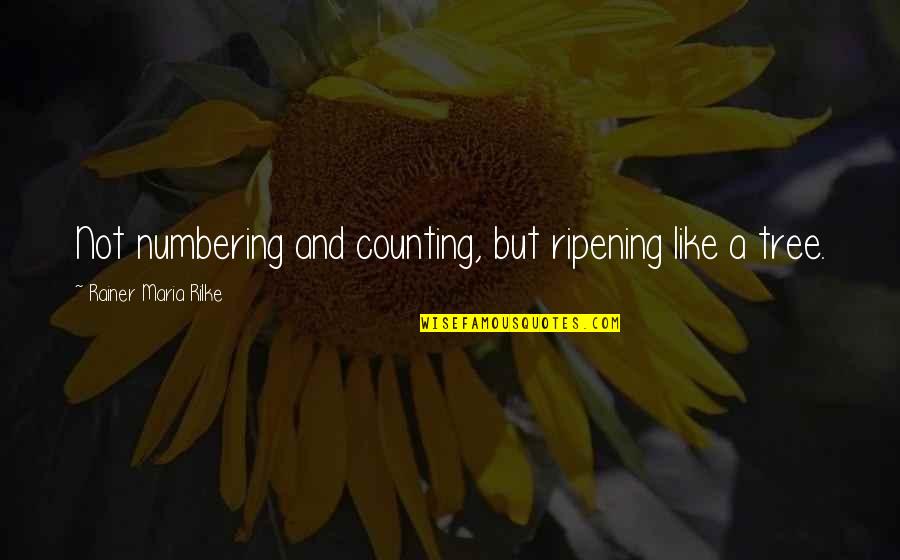 Rainer Maria Rilke Quotes By Rainer Maria Rilke: Not numbering and counting, but ripening like a