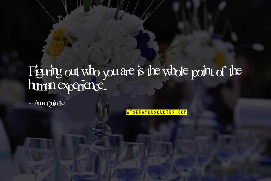Raineth Quotes By Anna Quindlen: Figuring out who you are is the whole