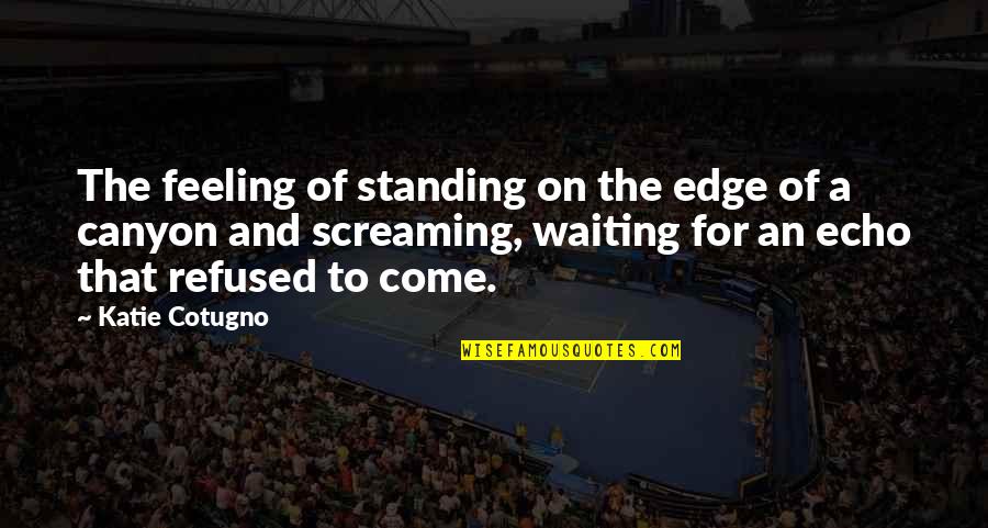 Rainey Construction Quotes By Katie Cotugno: The feeling of standing on the edge of Rainey Construction Quotes By Katie Cotugno: The feeling of standing on the edge of