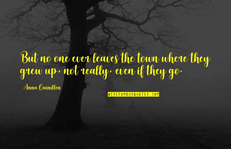 Rainin Quotes By Anna Quindlen: But no one ever leaves the town where