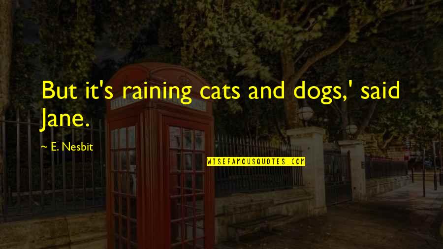 Raining On Quotes By E. Nesbit: But it's raining cats and dogs,' said Jane.