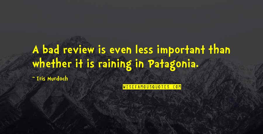 Raining Quotes By Iris Murdoch: A bad review is even less important than