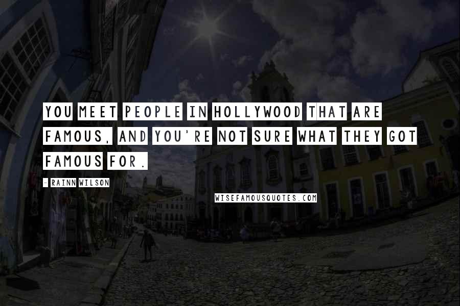Rainn Wilson quotes: You meet people in Hollywood that are famous, and you're not sure what they got famous for.